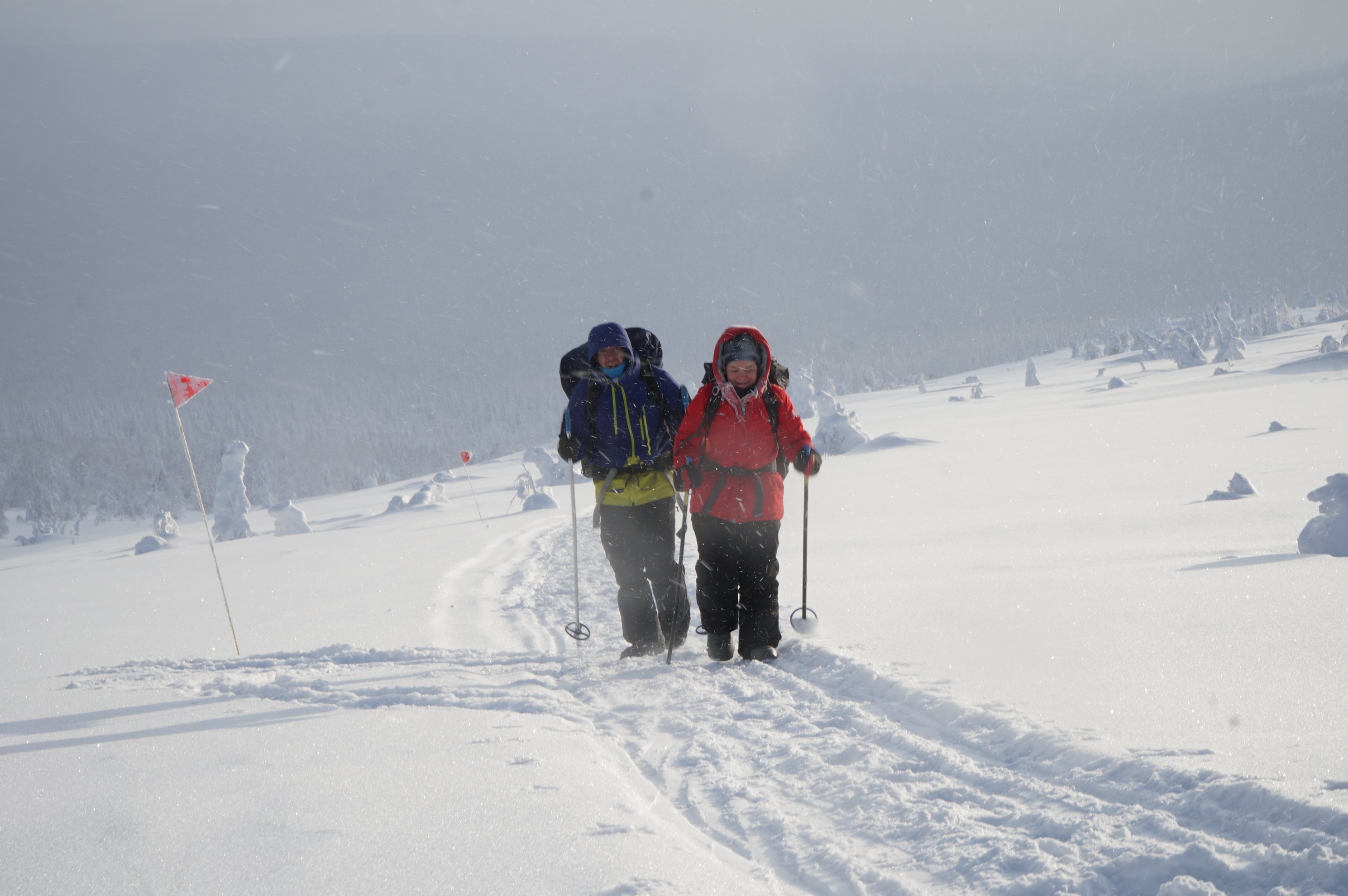 Two people skiing along a snowy path with trekking poles