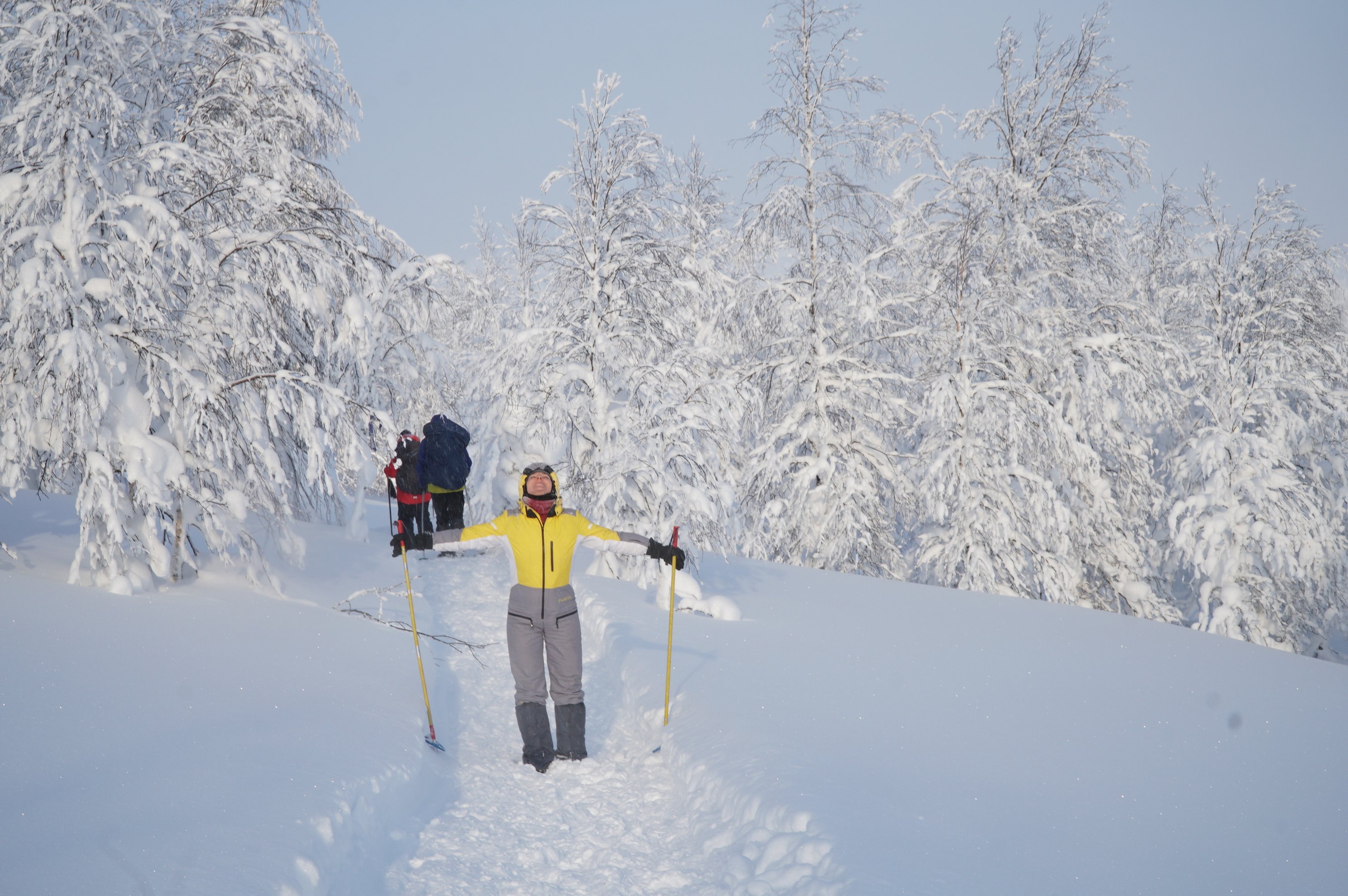 person skiing through snow-covered trees