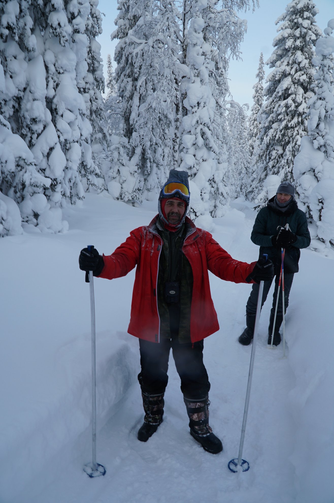 Two people with ski gear in a snowy spruce forest