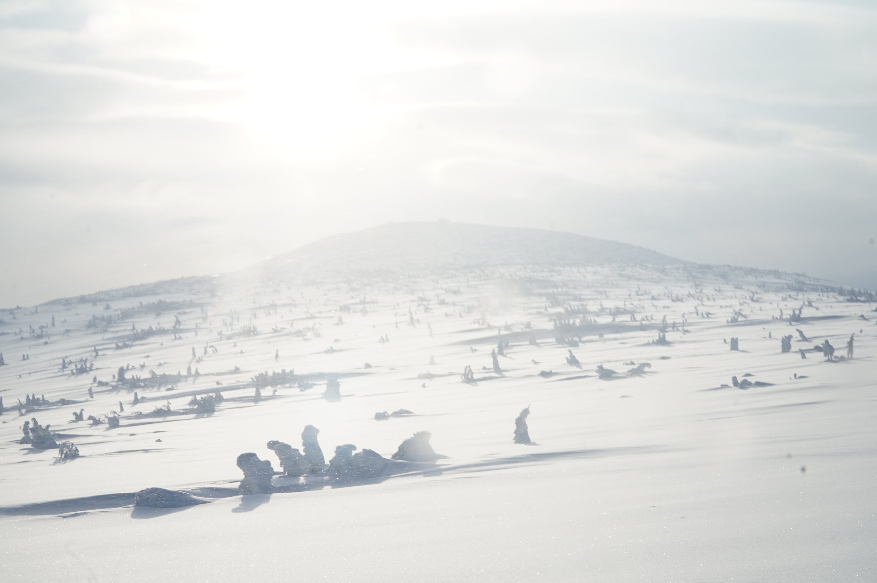 wide shot of snow covered terrain with a distant hill