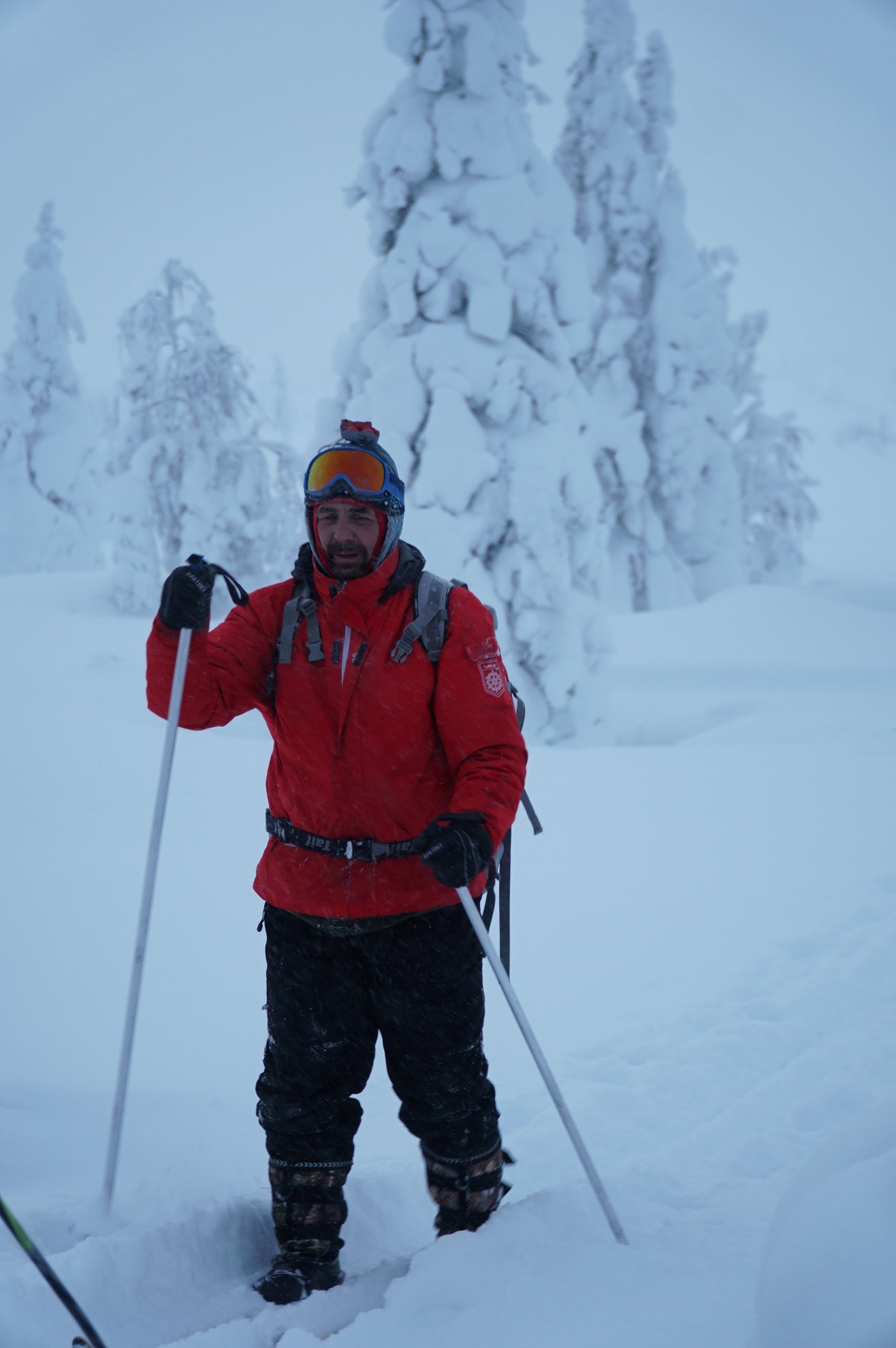person in ski gear standing in snow among frozen trees