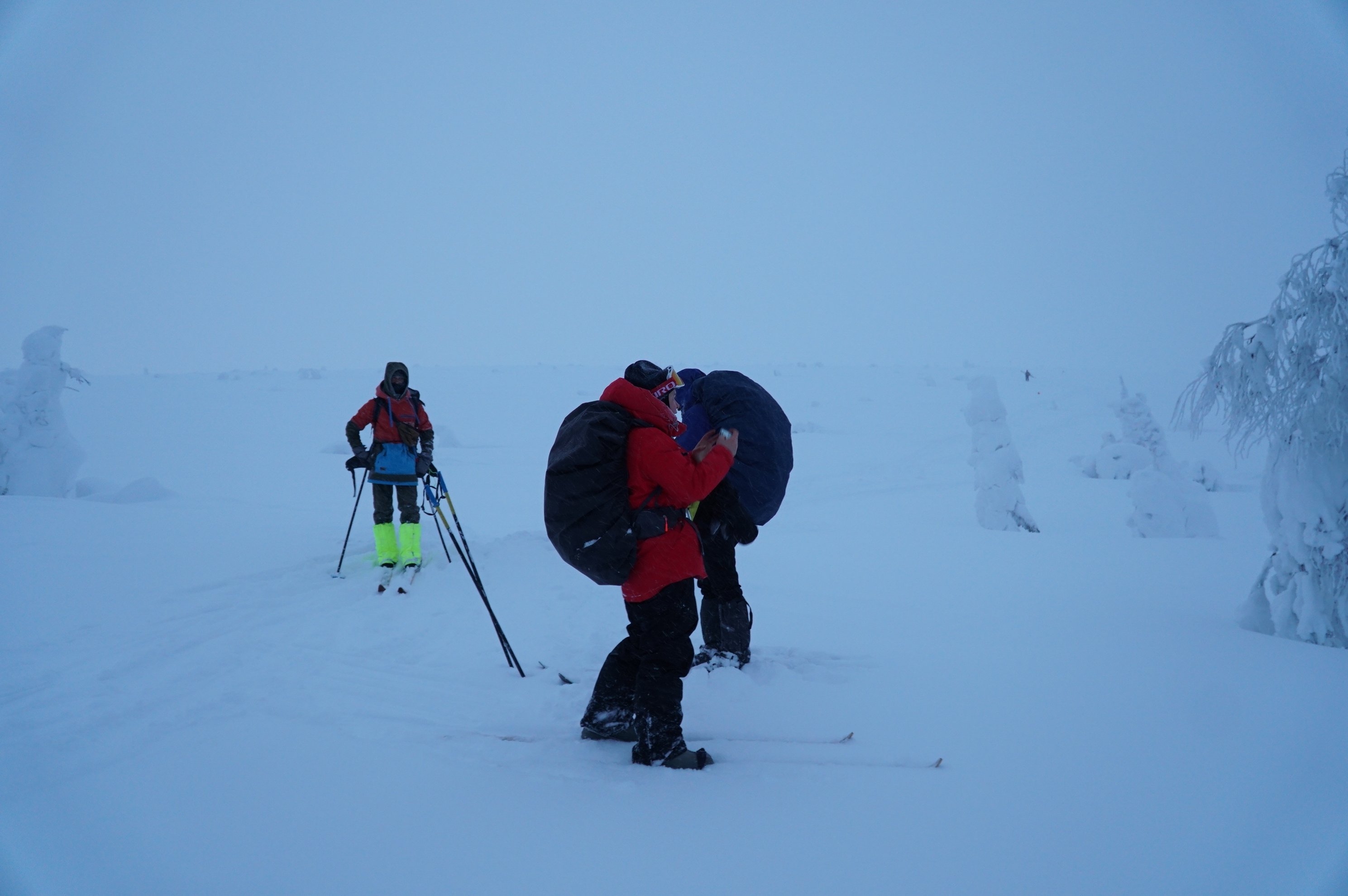 people skiing across a snow-covered field