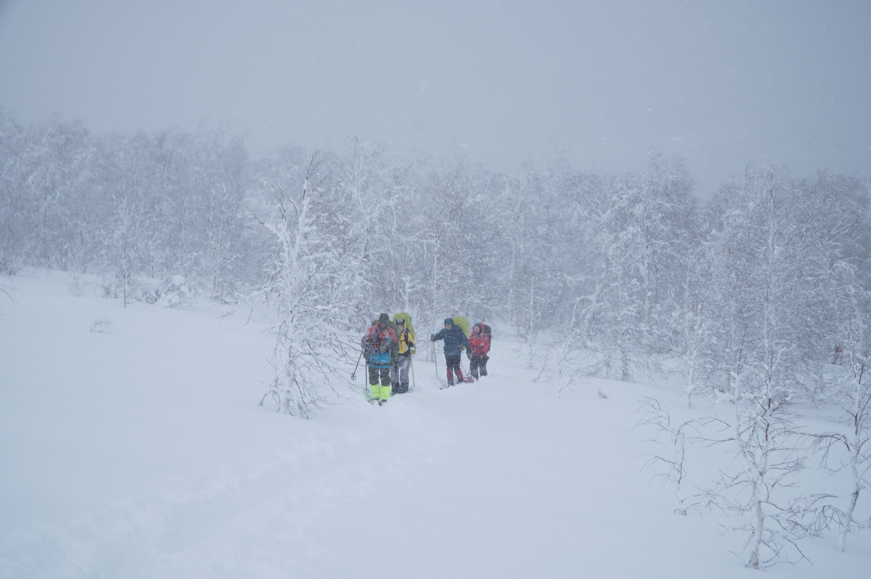 group of hikers with backpacks on skis in snowy forest
