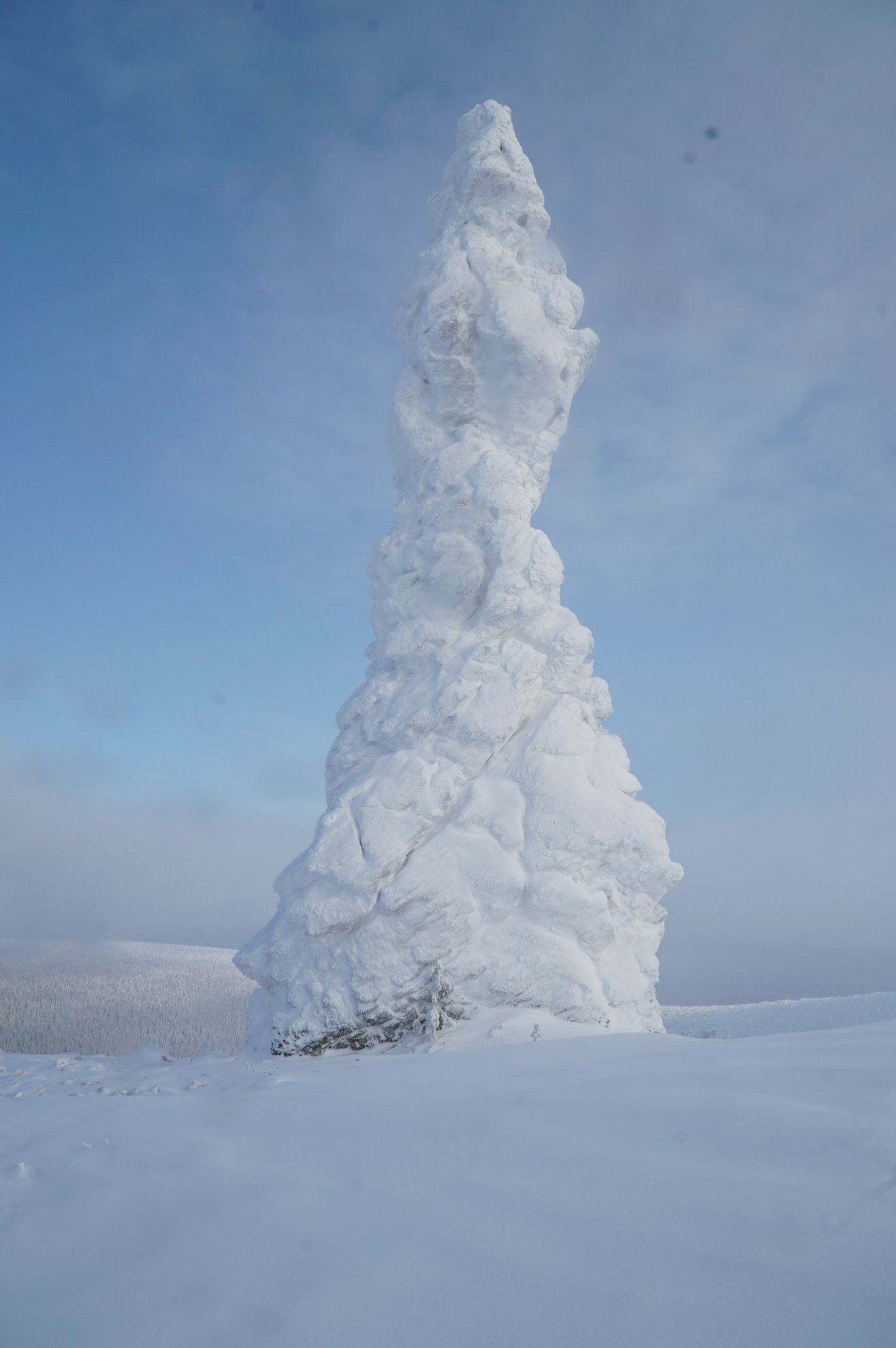 árvore única coberta por neve congelada espessa