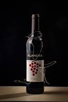 bottle wrapped in fairy lights against black background