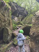trail path between large mossy boulders