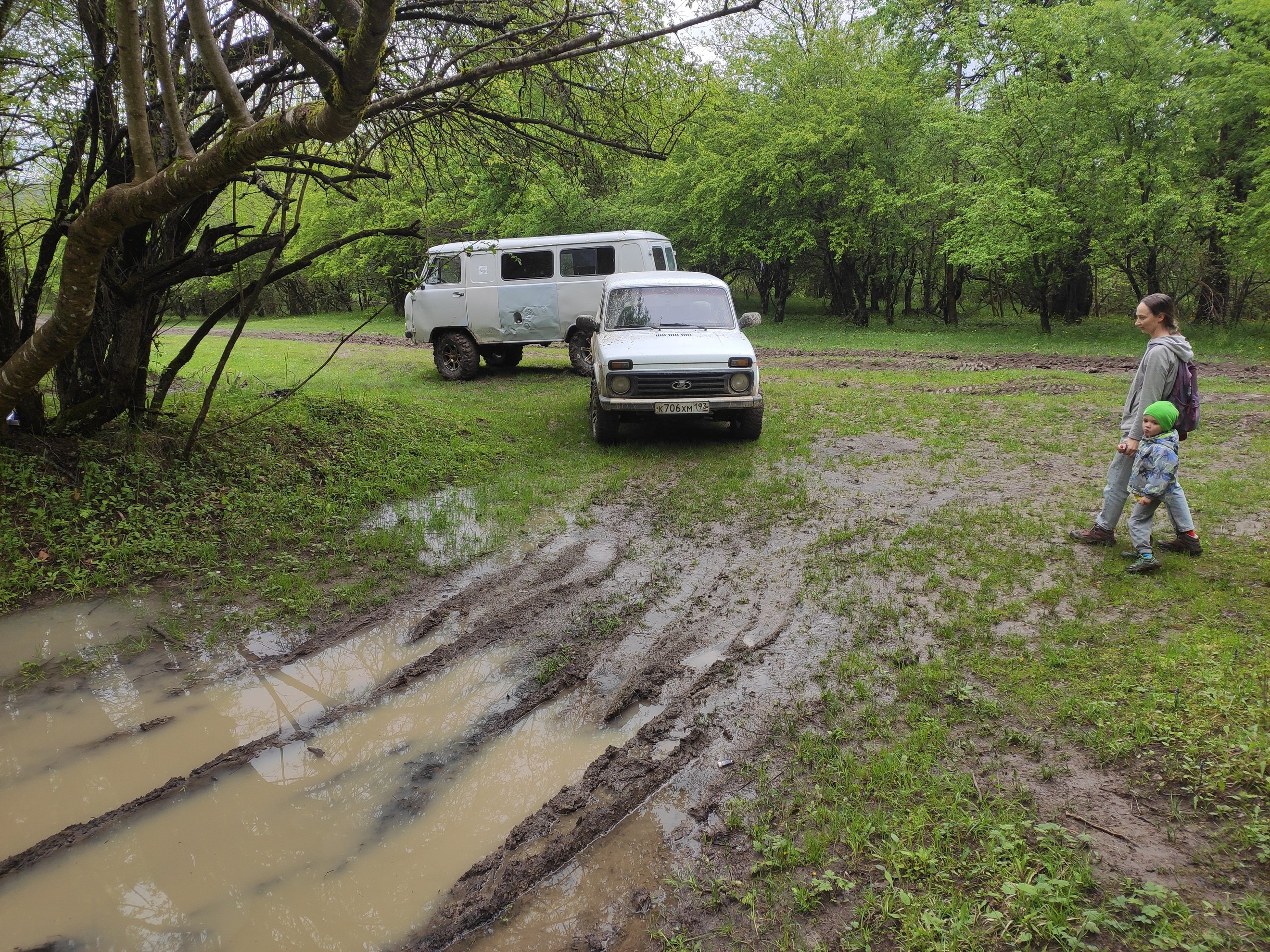 estrada lamacenta com carros perto de árvores da floresta