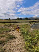 sandy riverbank with water and mountains in background