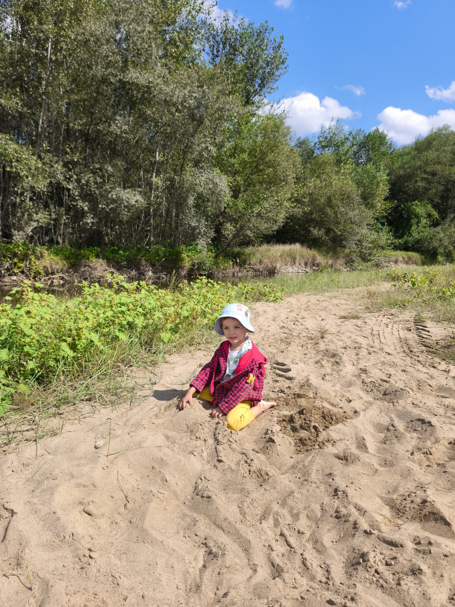 sandy riverbank with trees and water in background