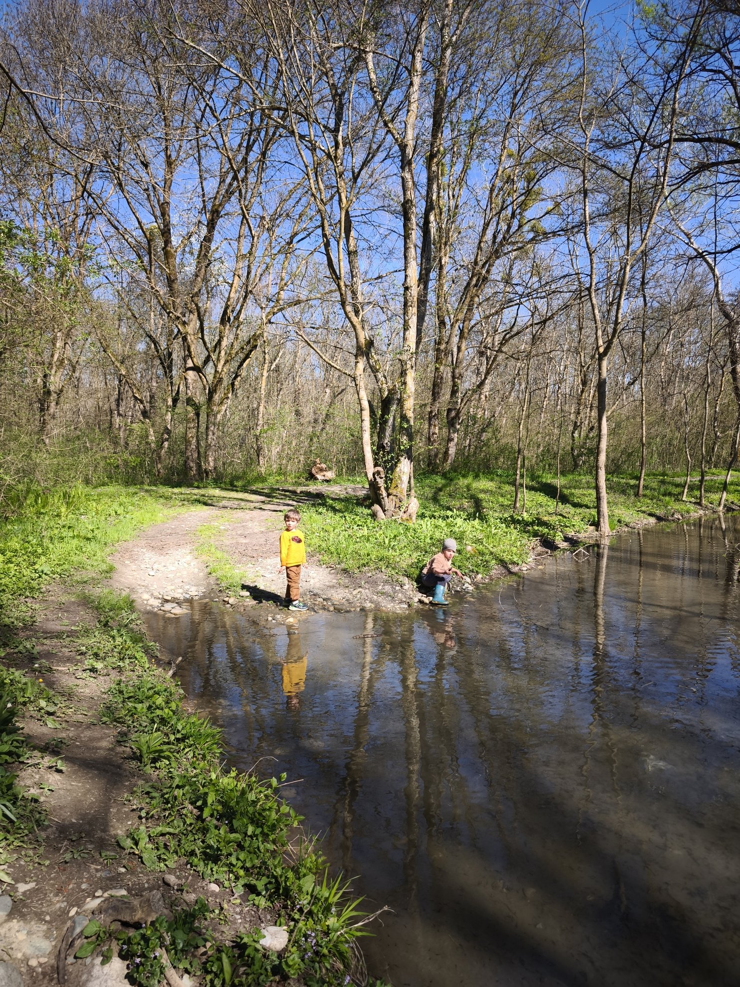 view of the pond edge and surrounding trees