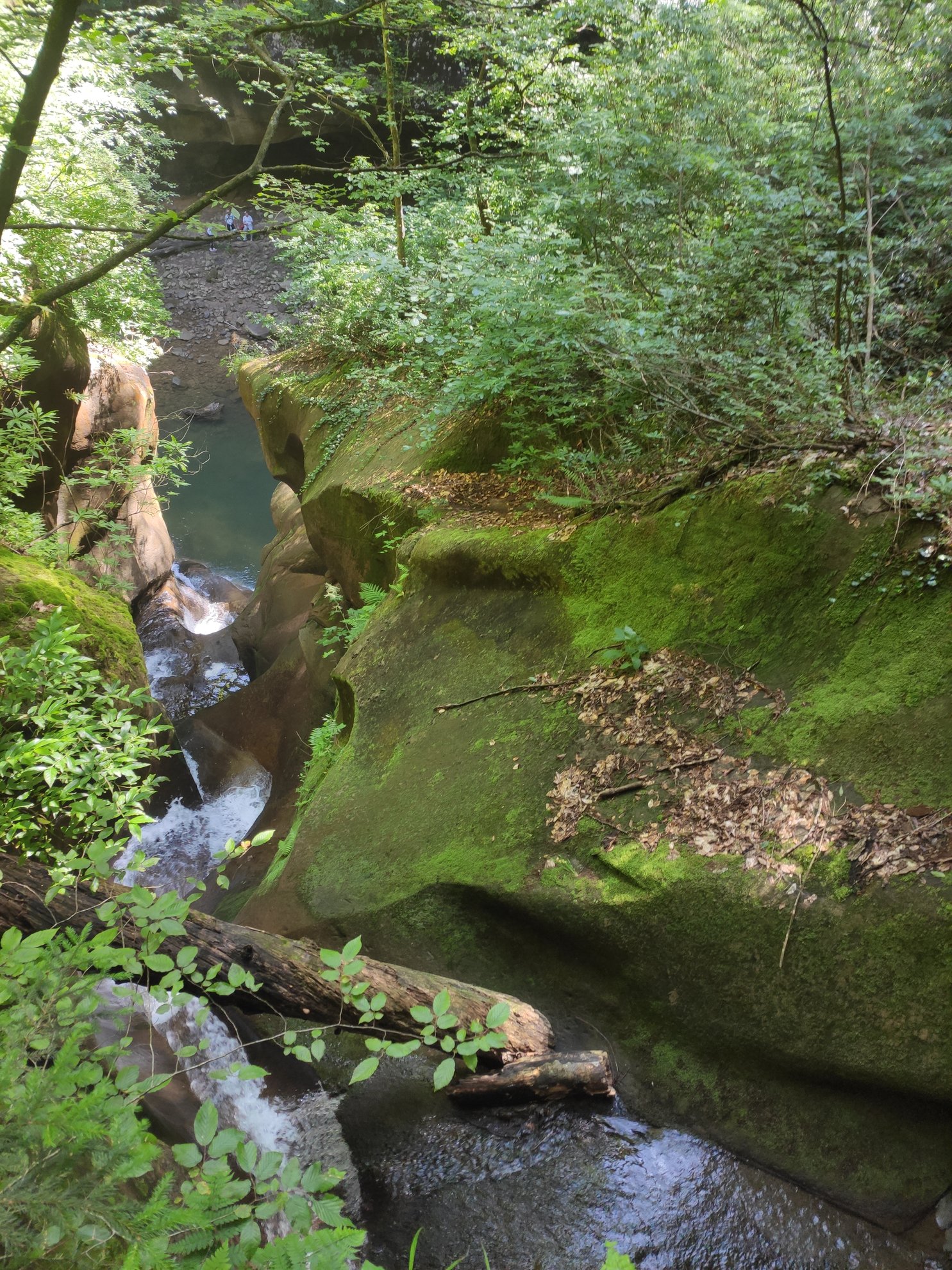 river flowing through a narrow canyon with mossy rocks