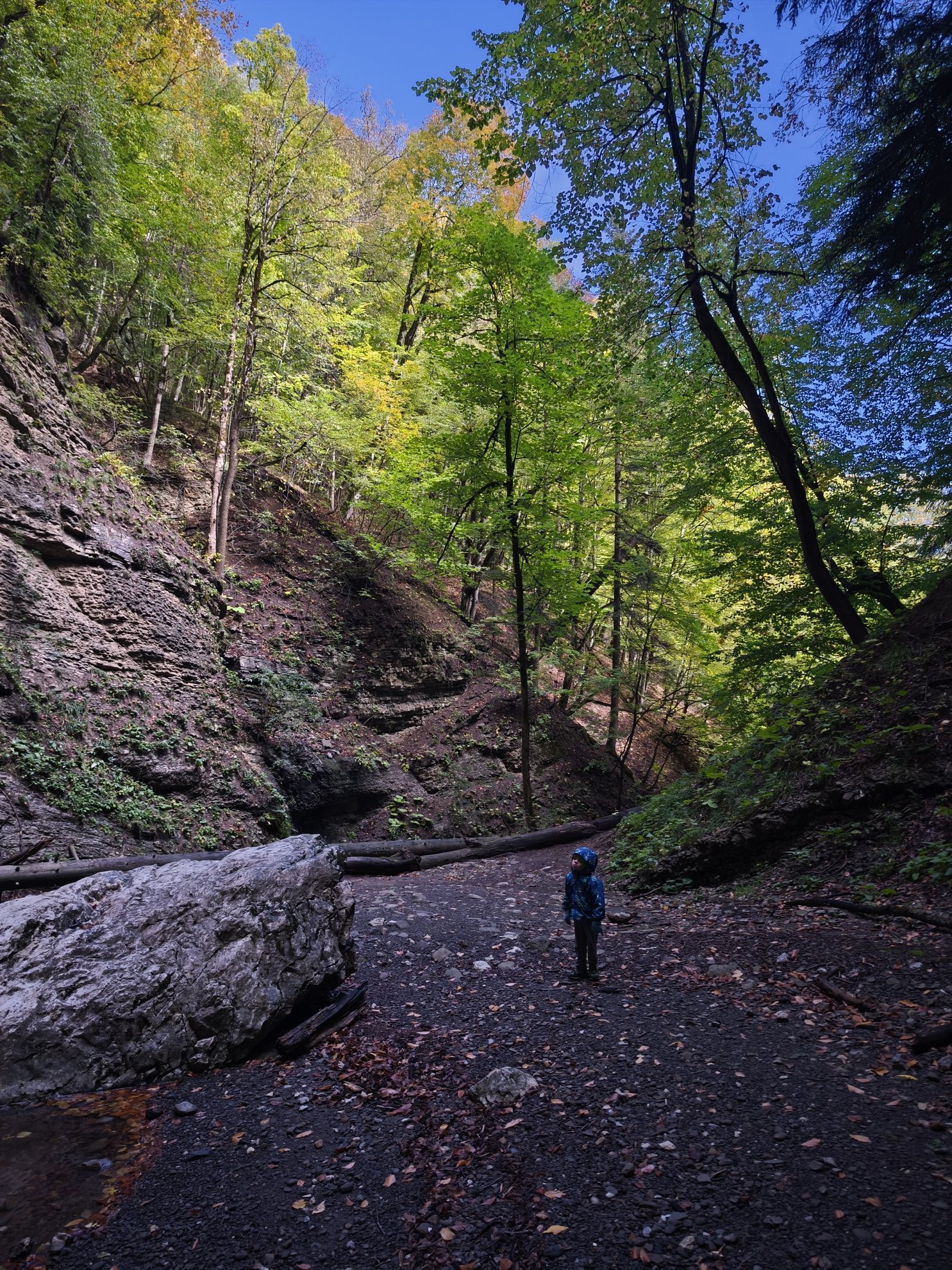 hiking path through forest with rocky walls