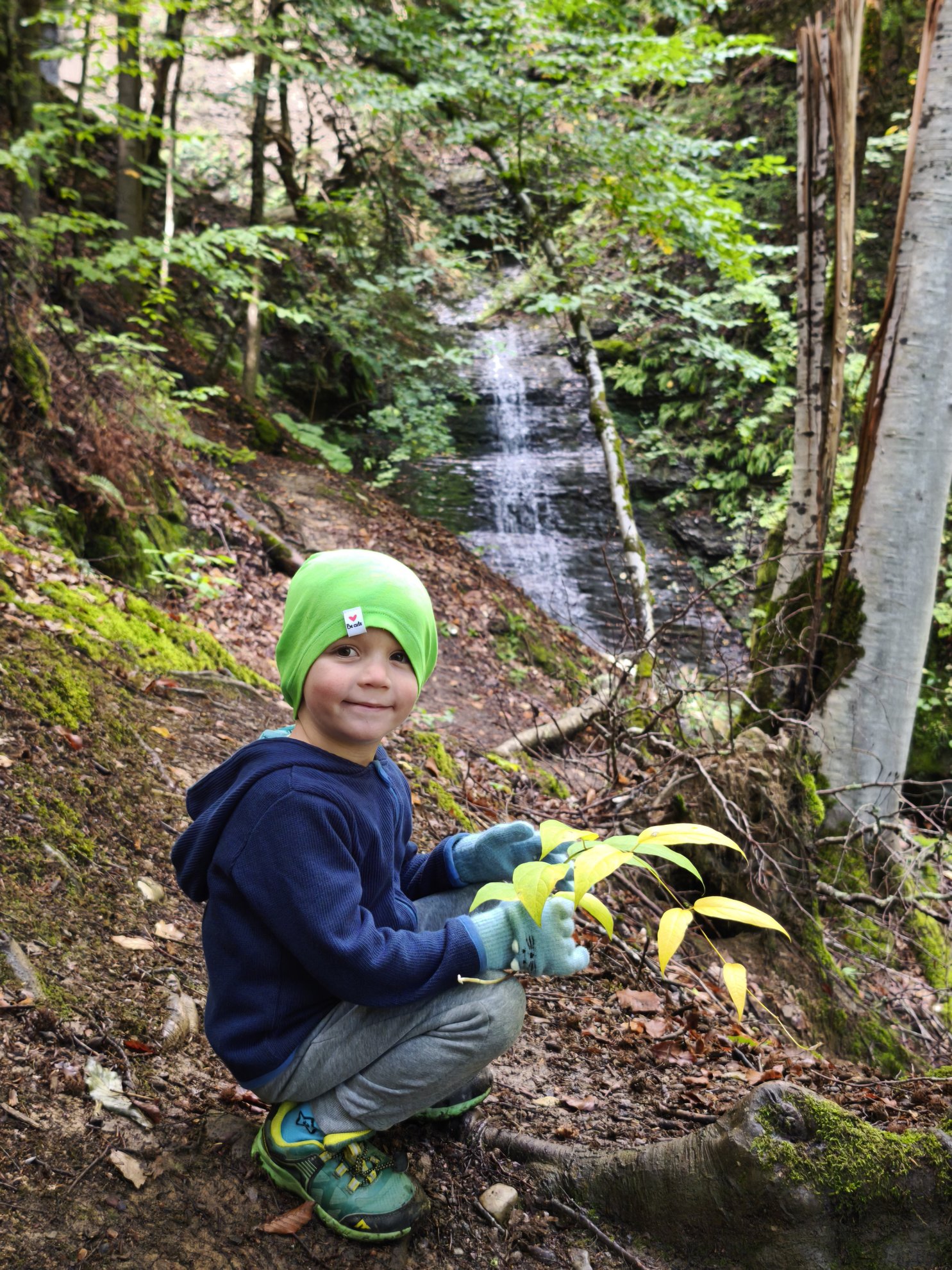 wooded trail with waterfall in background