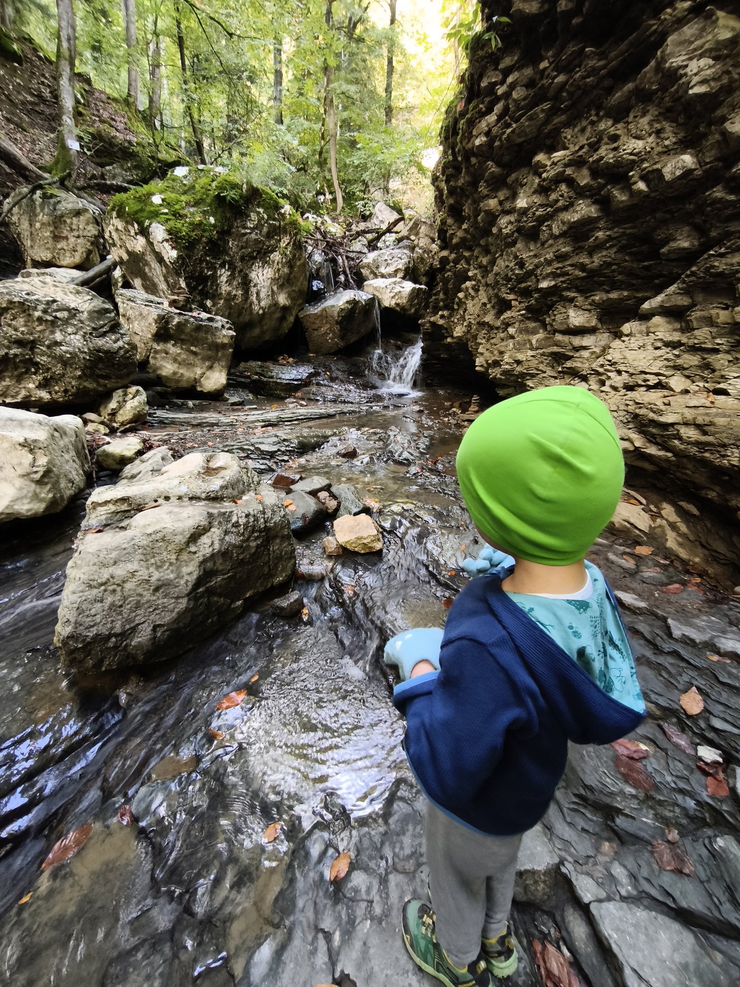 small creek flowing over rocks in the forest