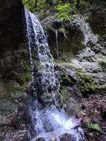 water falling over mossy rocks into a stream