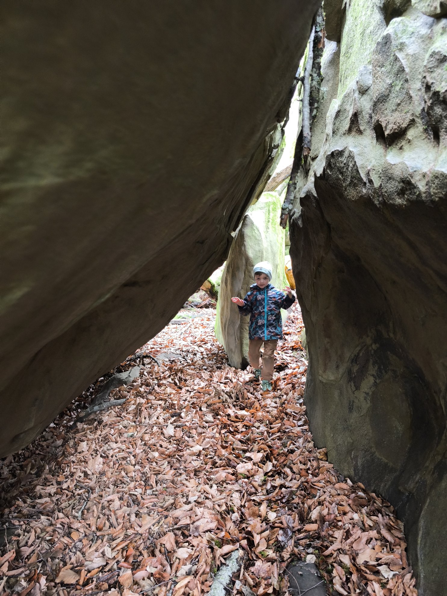 Narrow passage between rocks with fallen leaves on ground