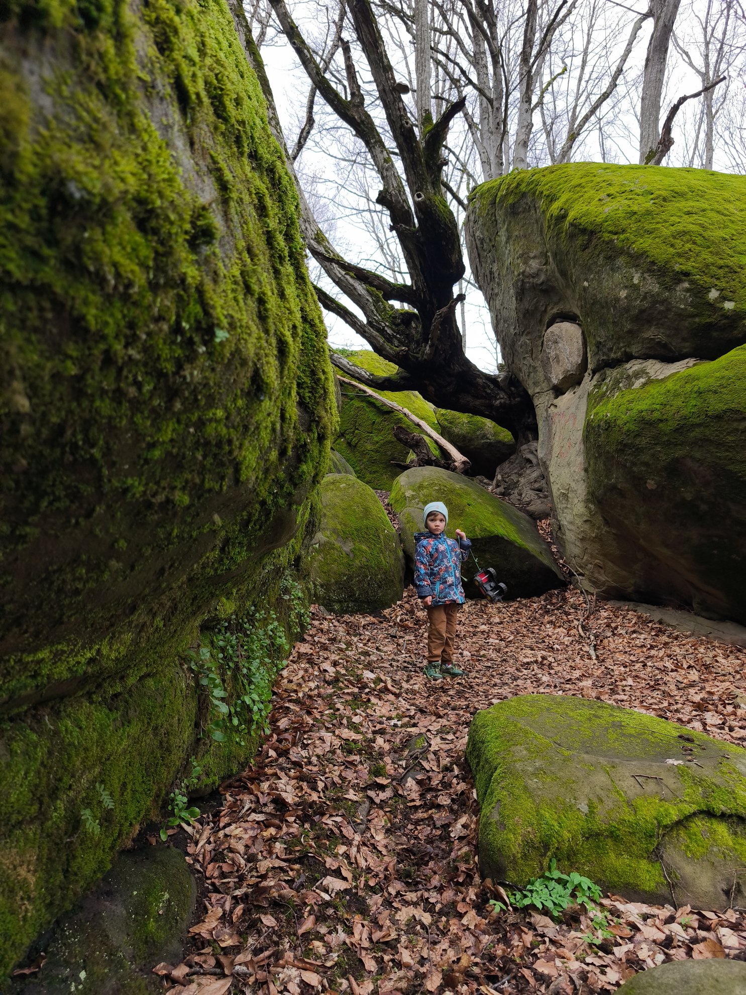 narrow passage between moss covered rocks