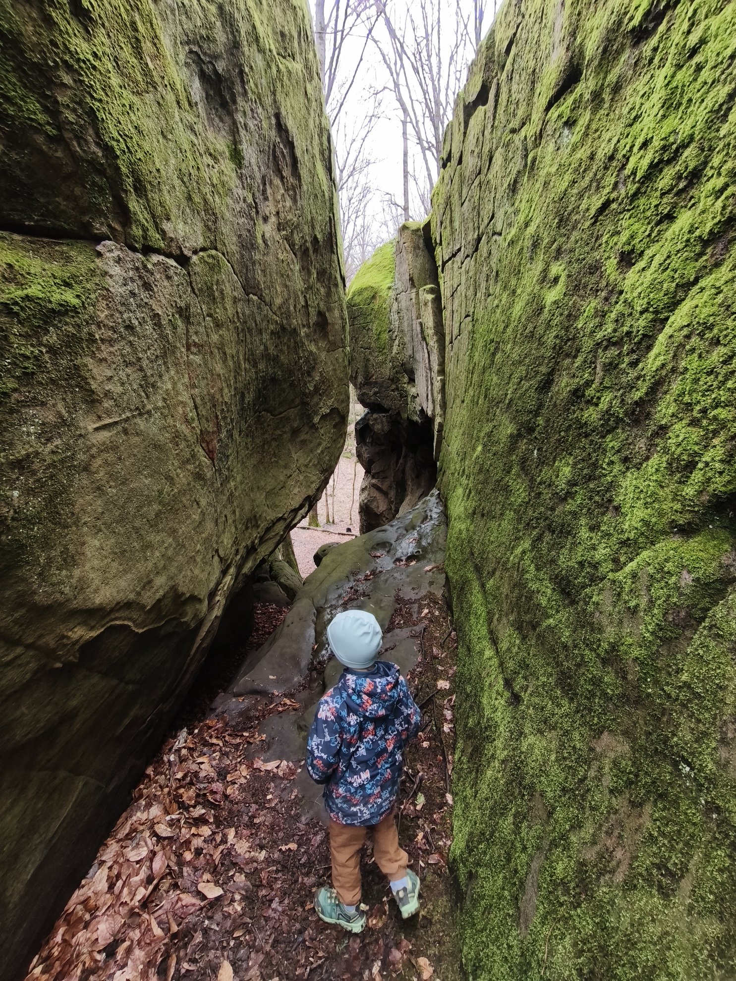 narrow passage between two mossy rocks