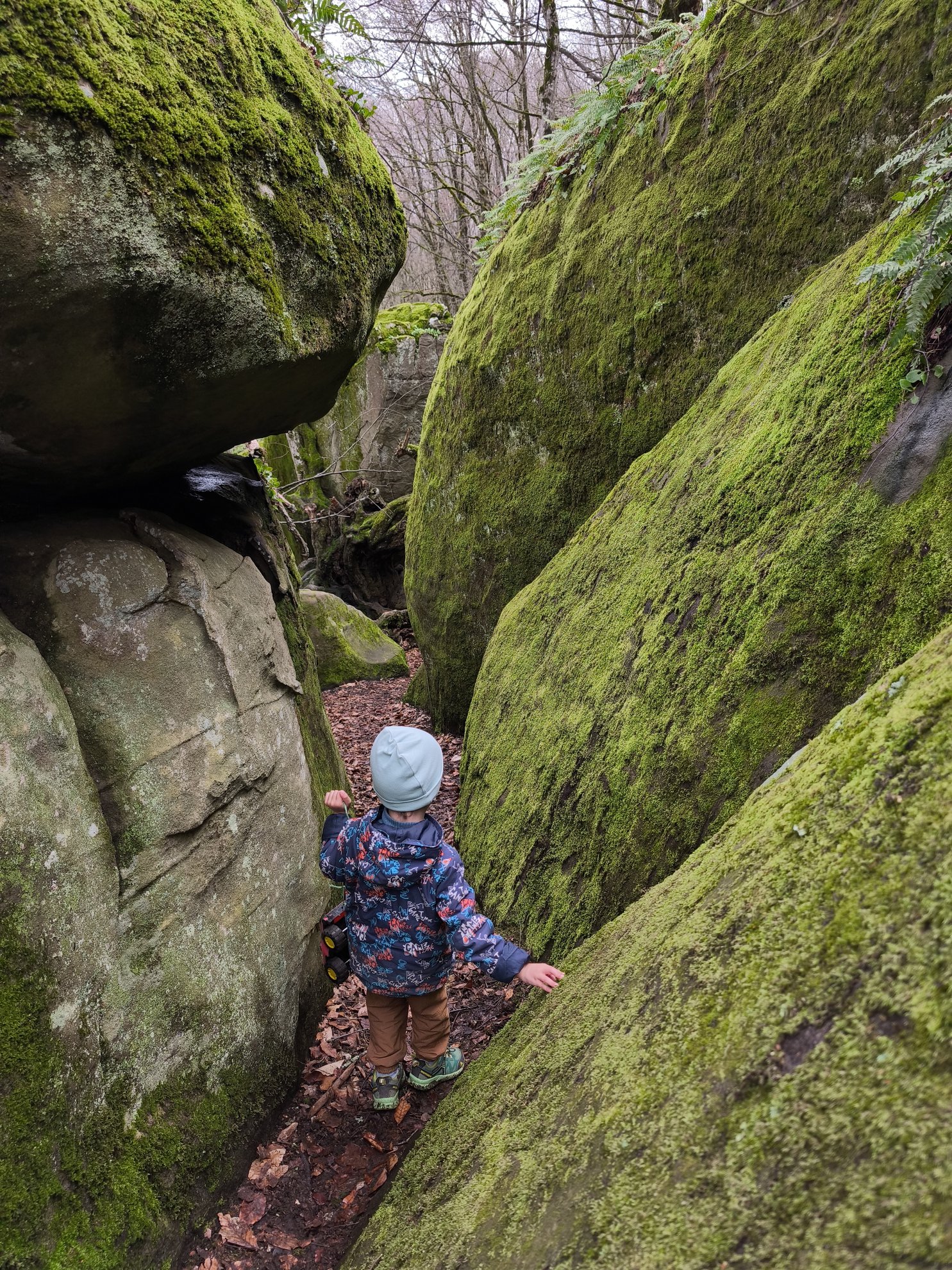 Narrow passage between mossy rock walls