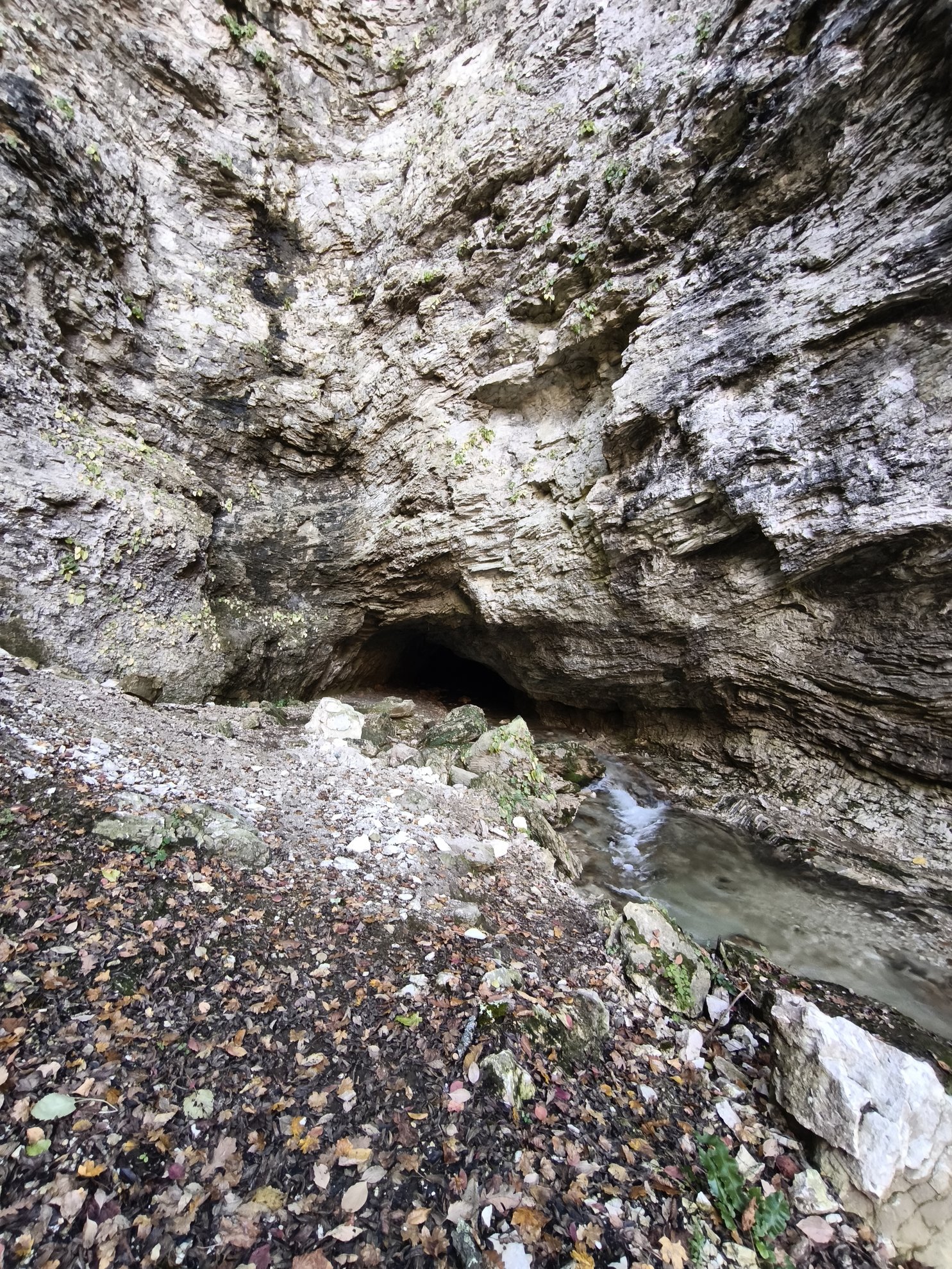 entrance to the cave with a creek flowing inside