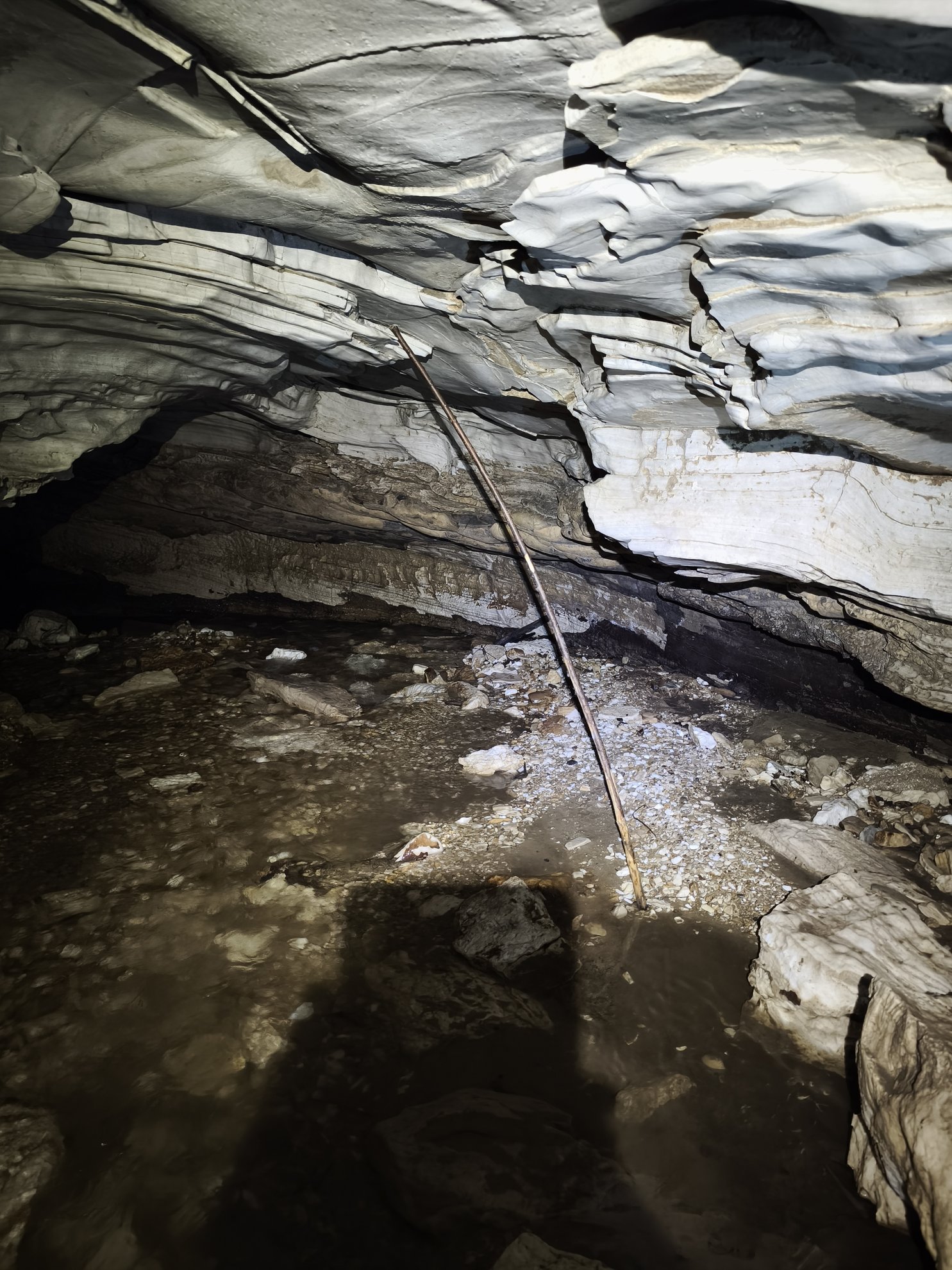 Interior view of cave ceiling and water floor with stick
