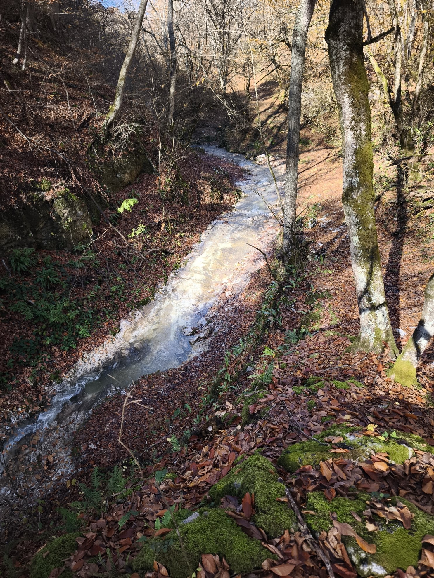creek flowing through the forest toward the cave