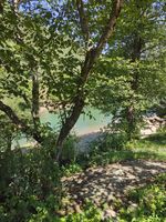 view of the river shore through tree branches