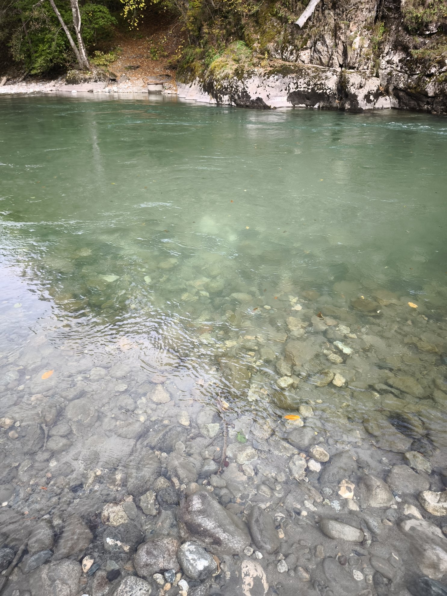 clear shallow water over a rocky riverbed