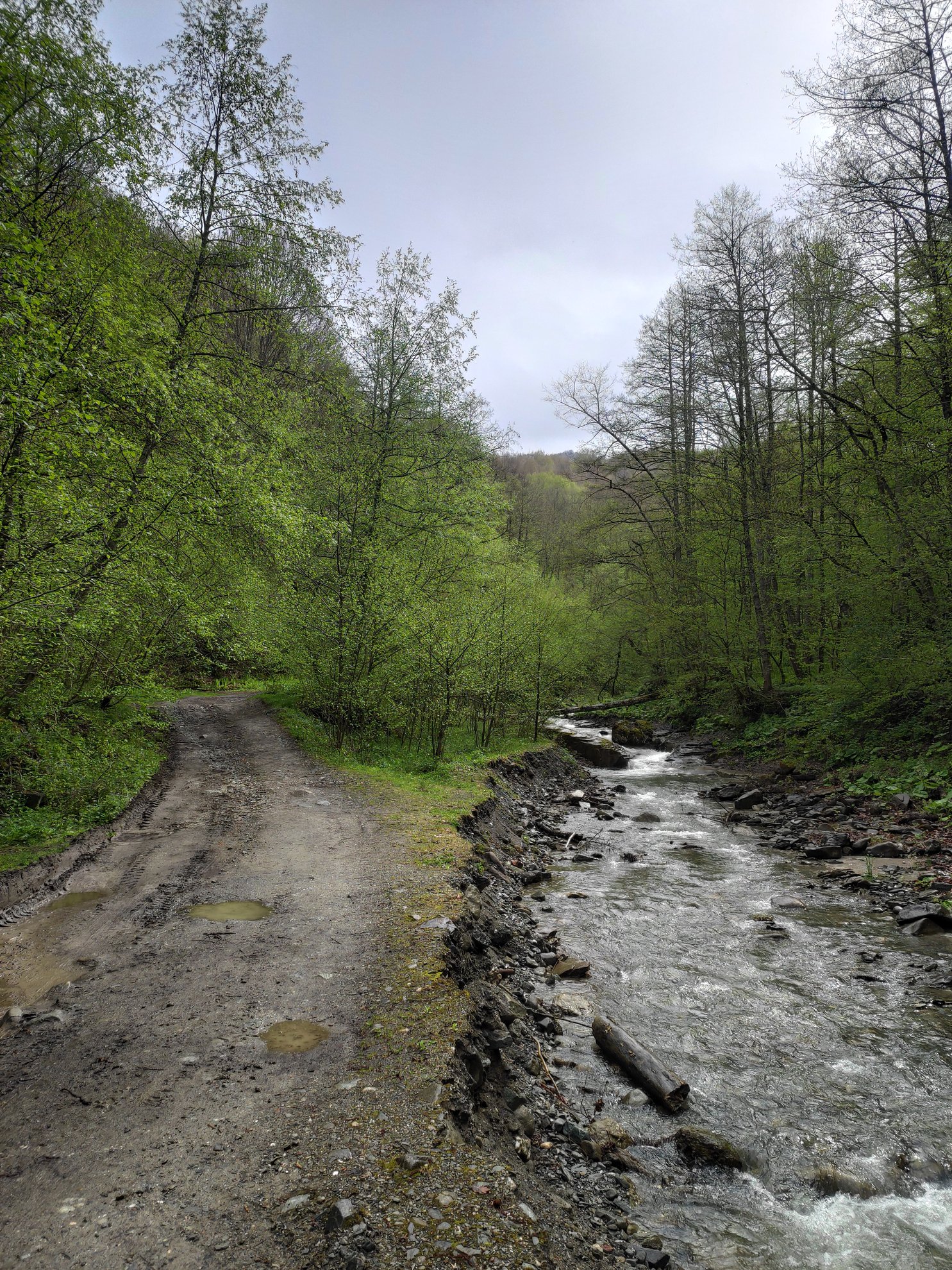 Dirt road running parallel to a rocky creek
