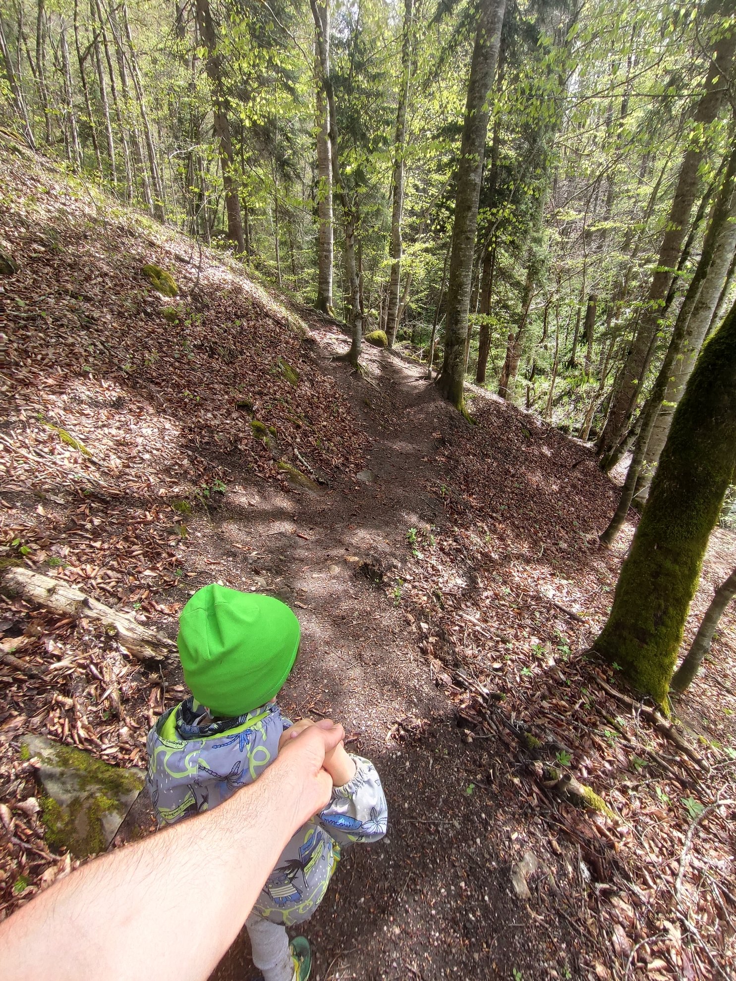 narrow dirt path through a forest