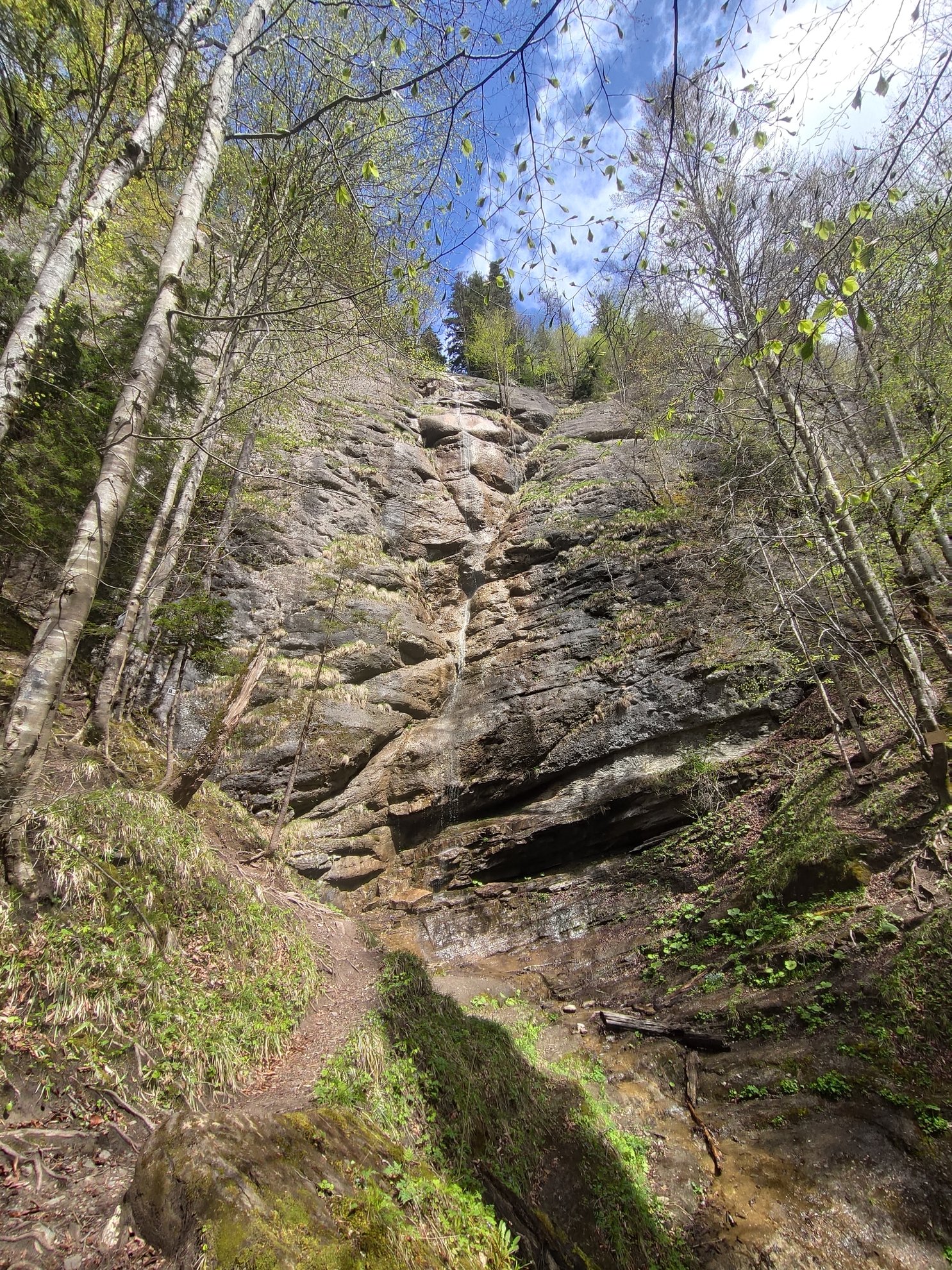 View of the rock face and waterfall from the trail