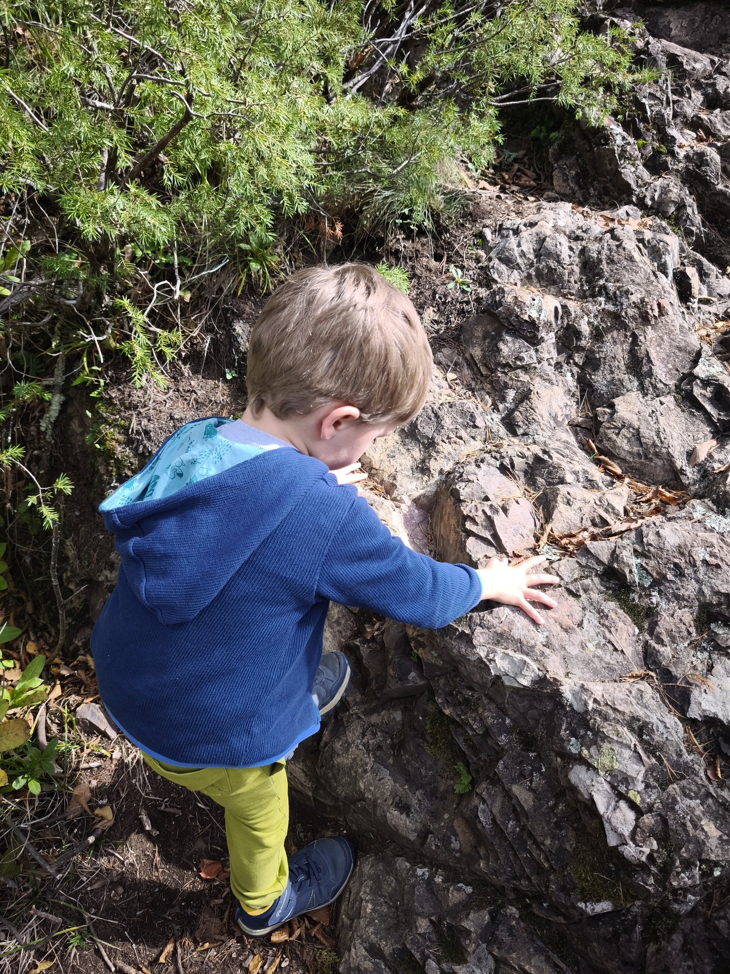 Close up of rock surface for climbing